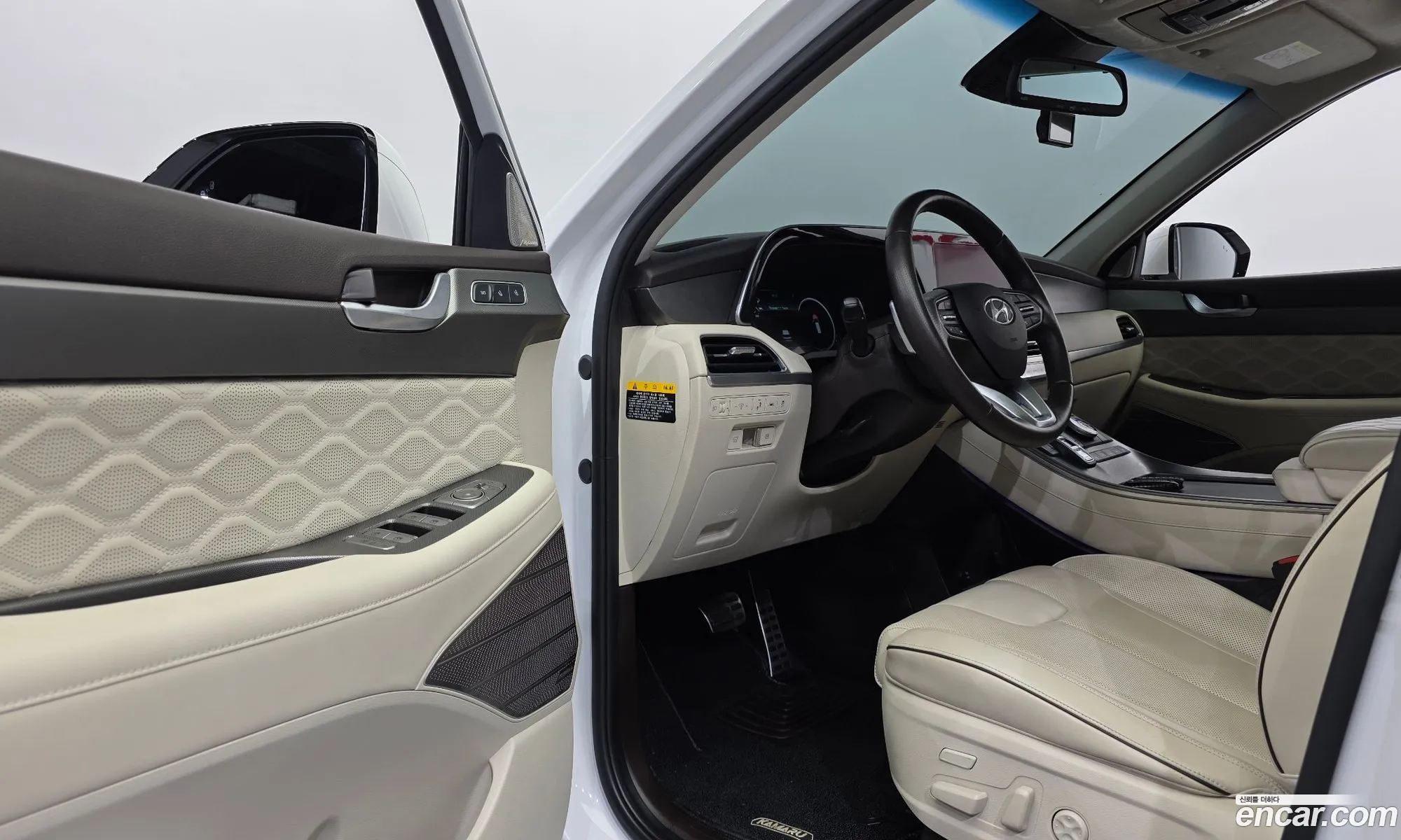 Hyundai Palisade 2020 — 19