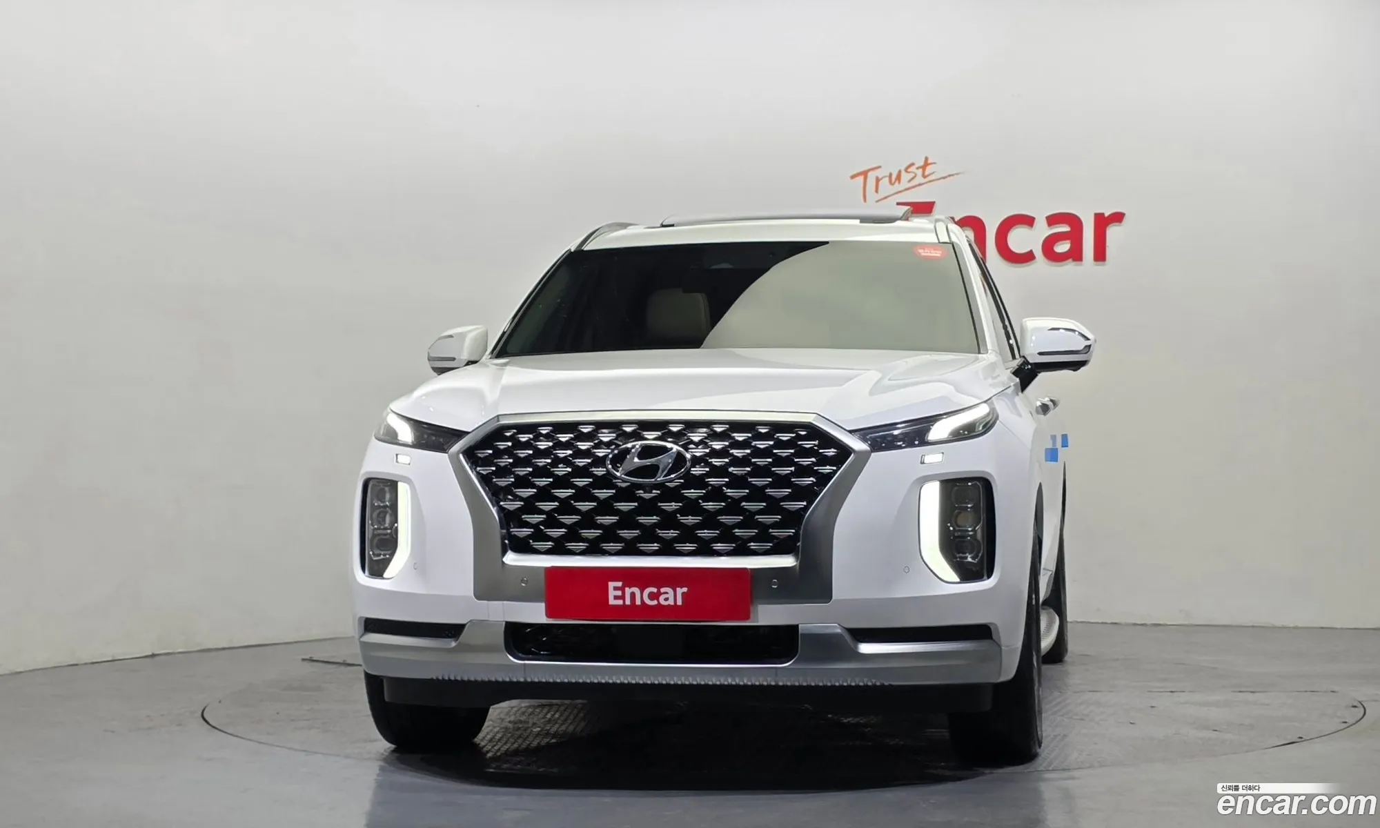 Hyundai Palisade 2020 — 15