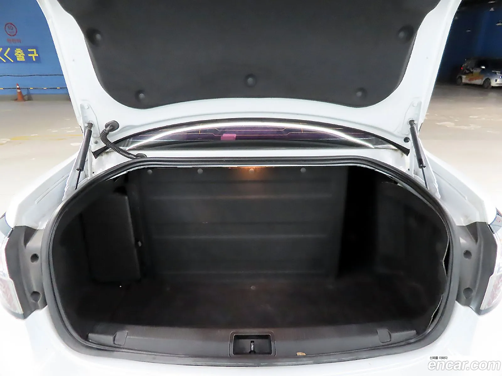 Renault Korea (Samsung) SM3 Z.E. 2017 — 19