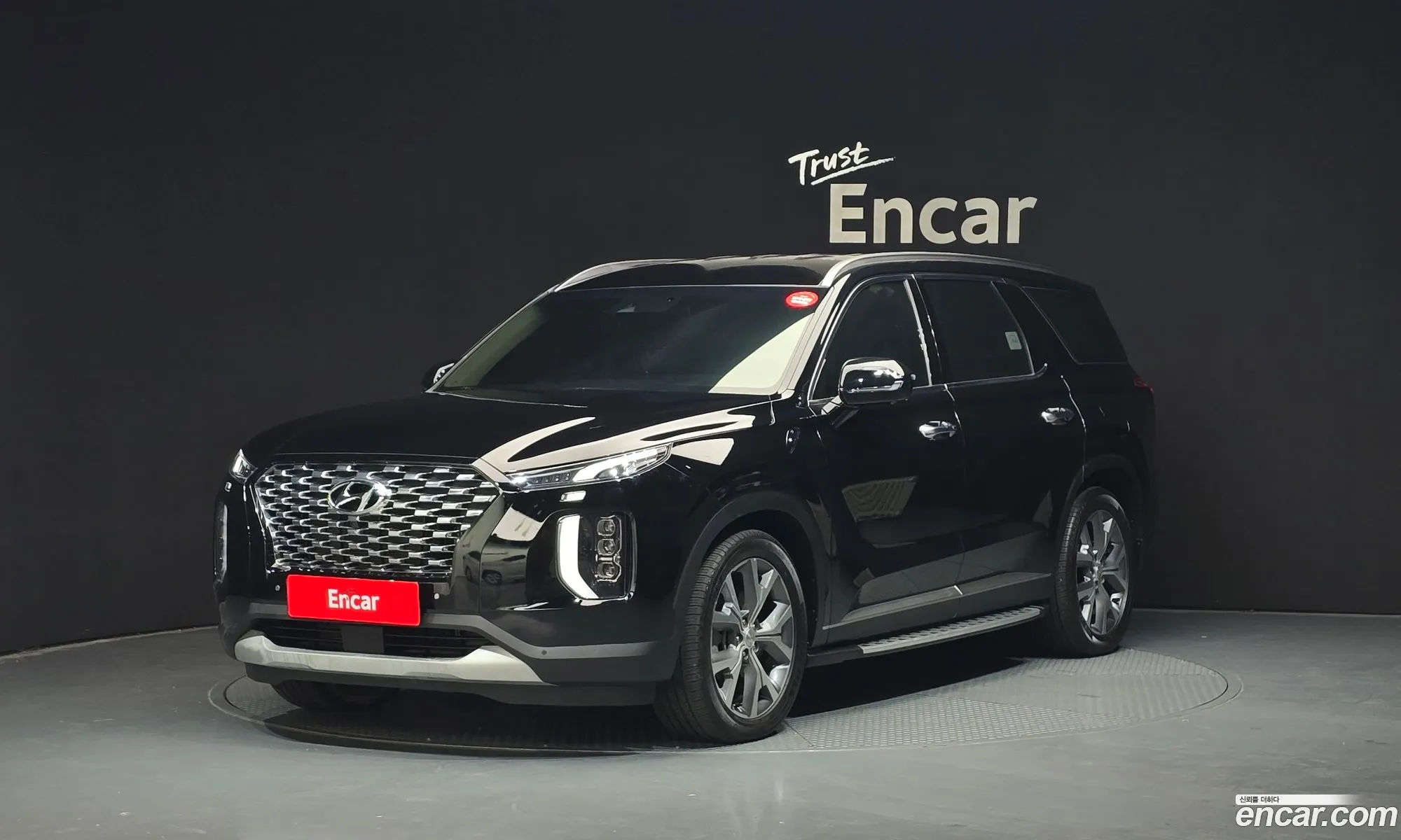 Hyundai Palisade 2021 — 12