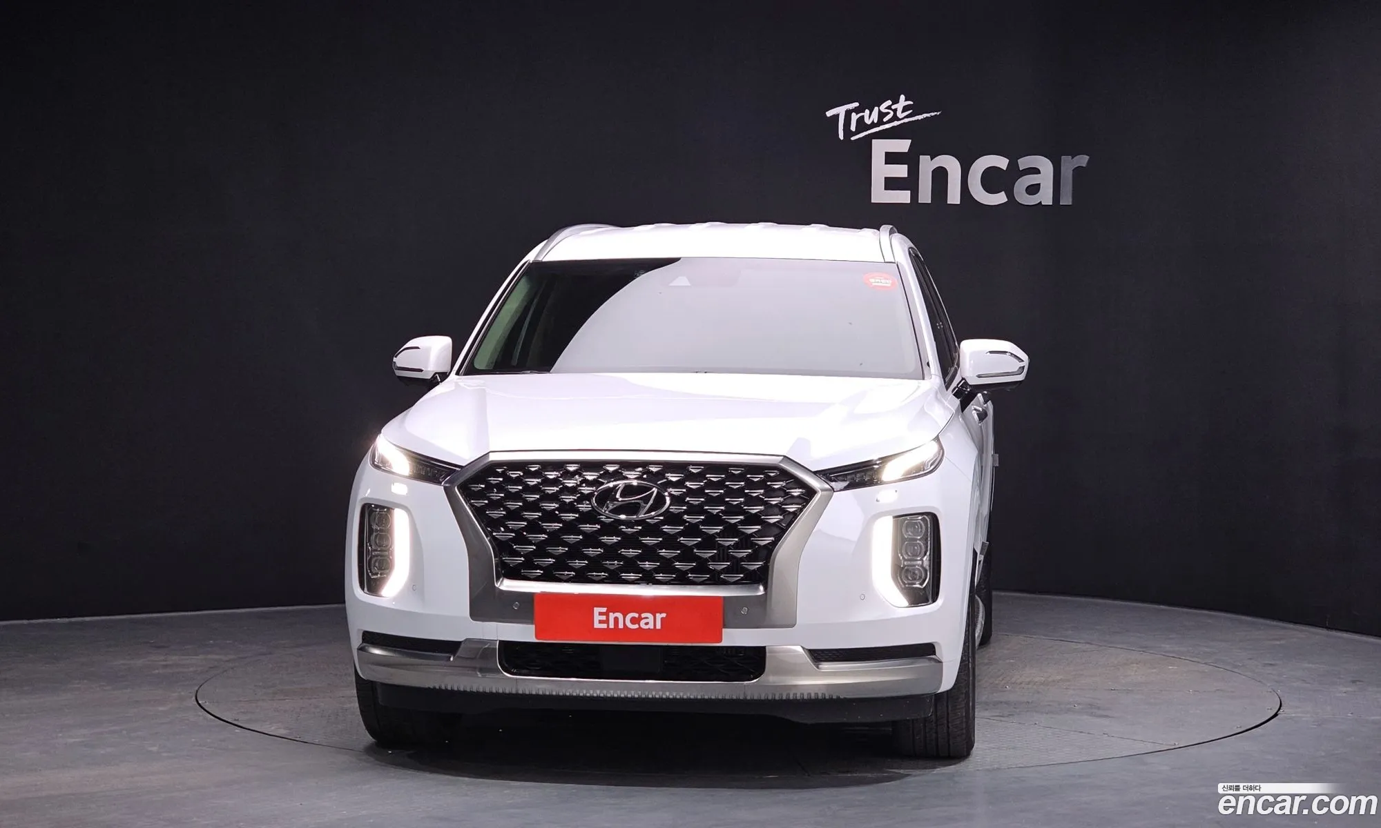 Hyundai Palisade 2022 — 8