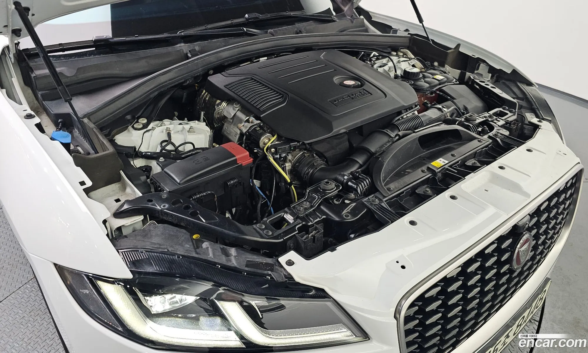 Jaguar F-Pace 2021 SADCA2BN0MA680226 — 11