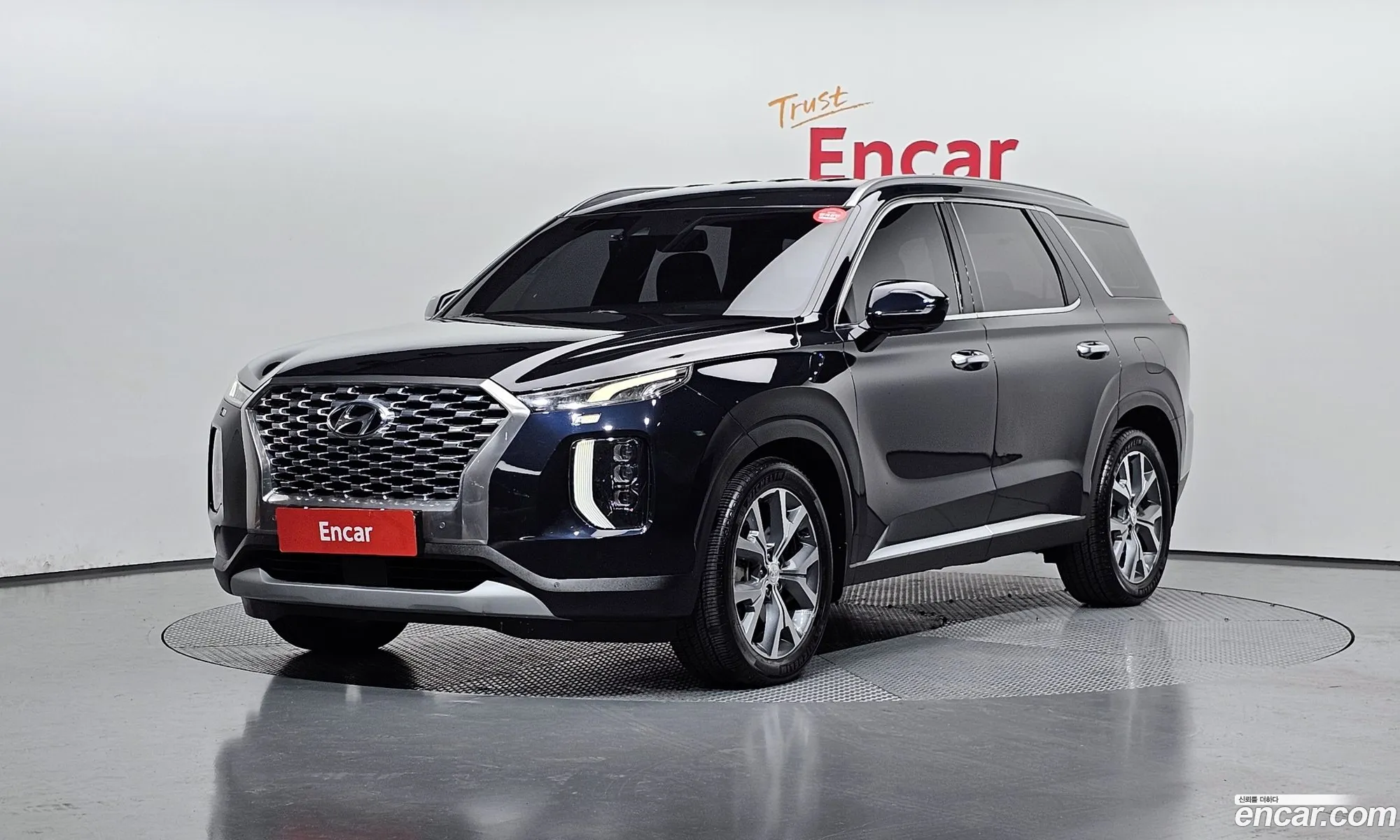 Hyundai Palisade 2019 — 16