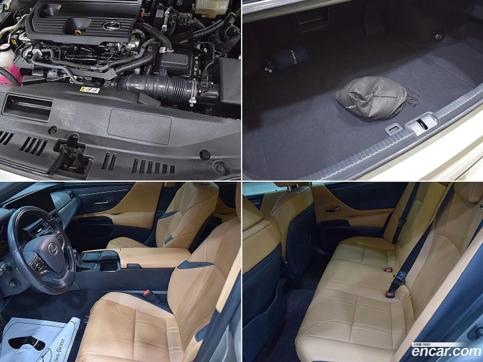 Lexus ES300h 7th Gen 2022 — 6