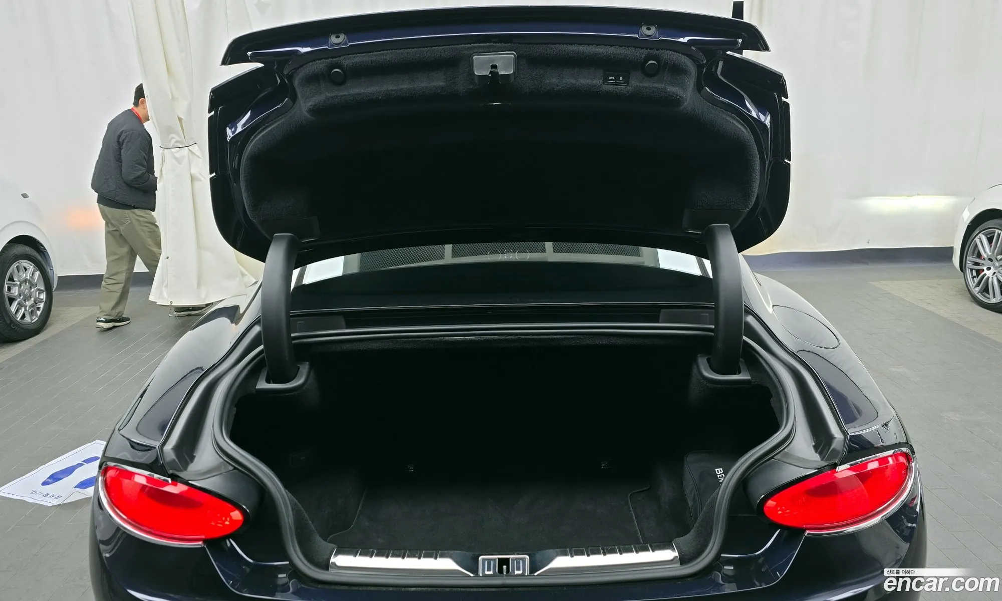 Bentley Continental GT 2019 SCBCD13S3KC071086 — 13