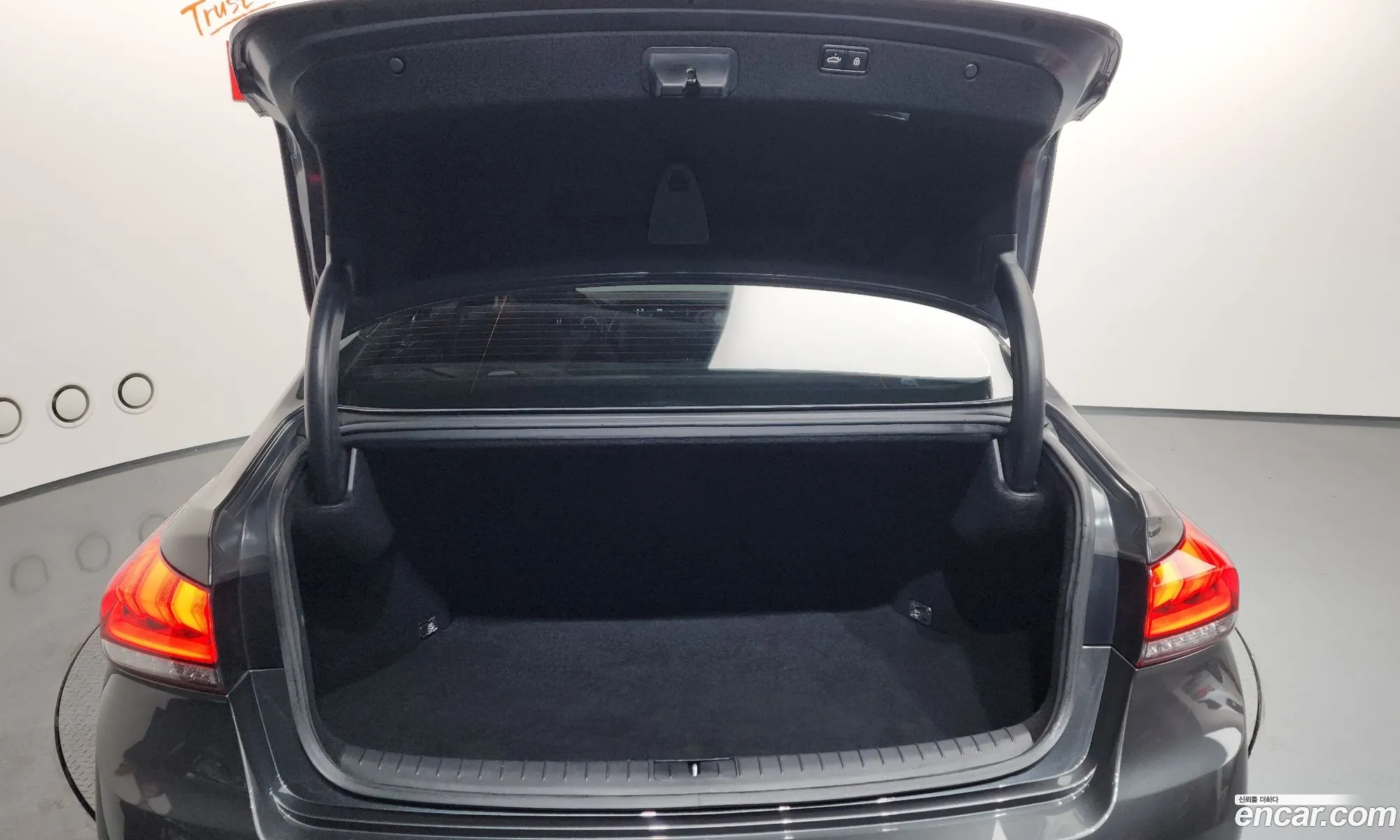 Genesis G80 2018 KMHGN41EDJU278951 — 11