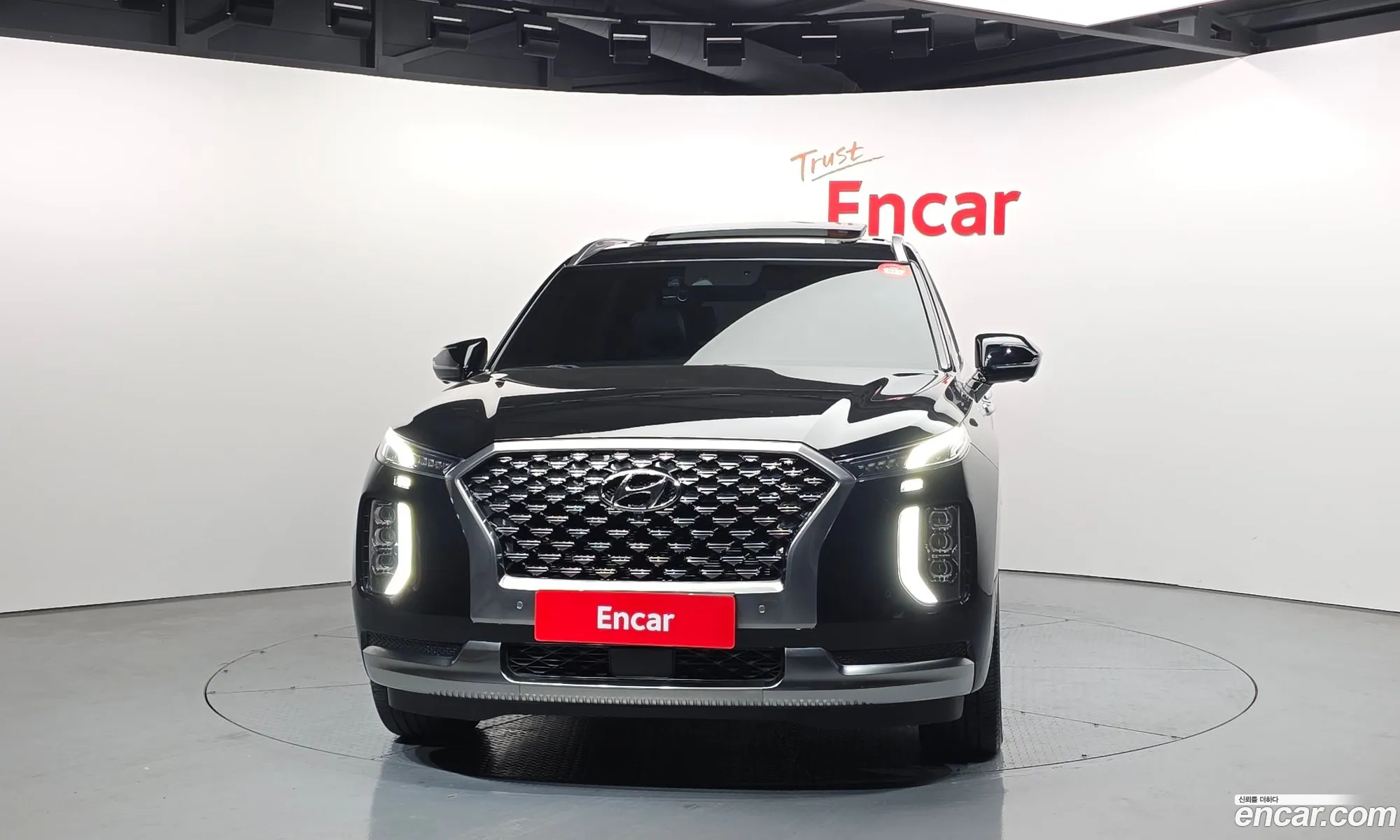 Hyundai Palisade 2021 — 18