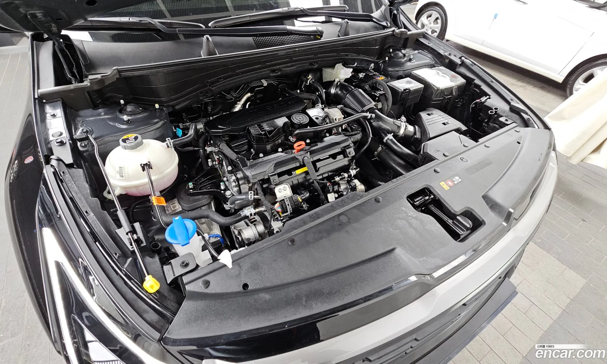 Kia Sportage 2025 — 19