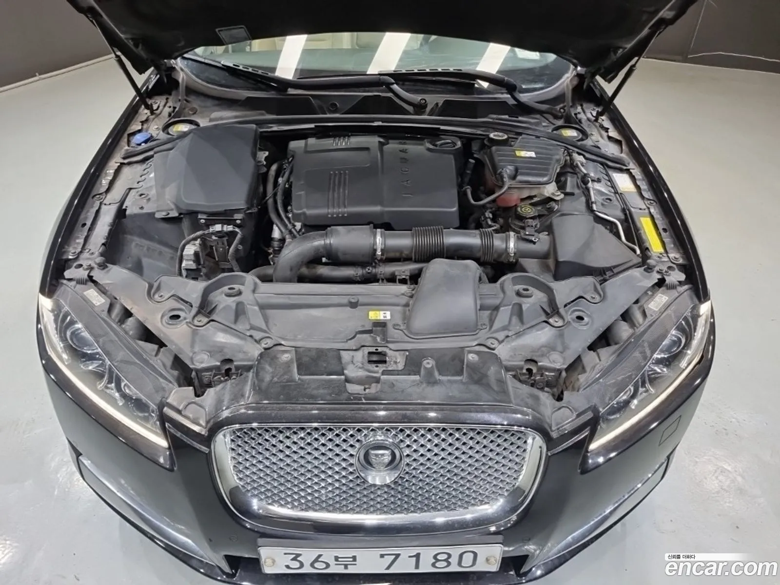 Jaguar XF 2013 — 2