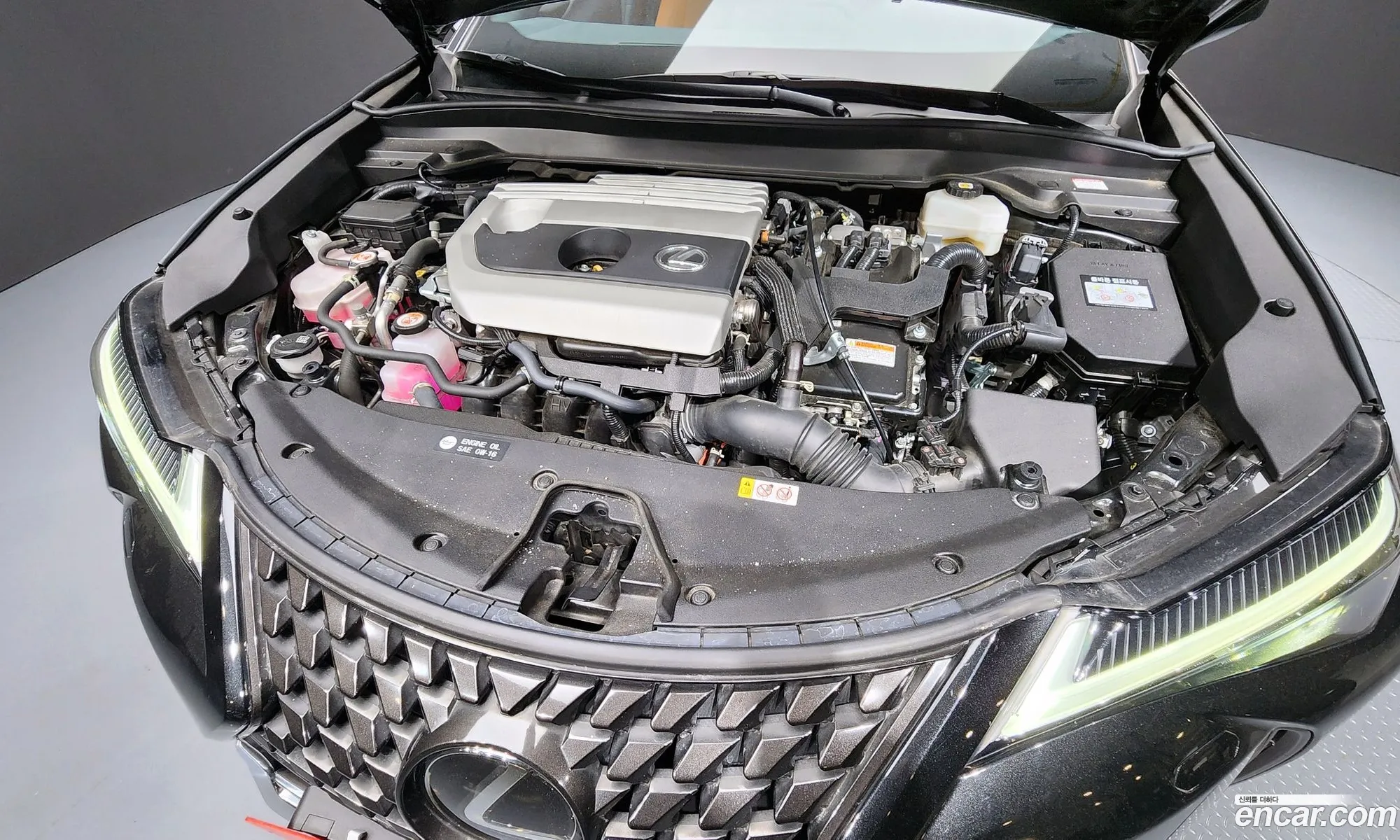 Lexus UX250h 2023 — 3