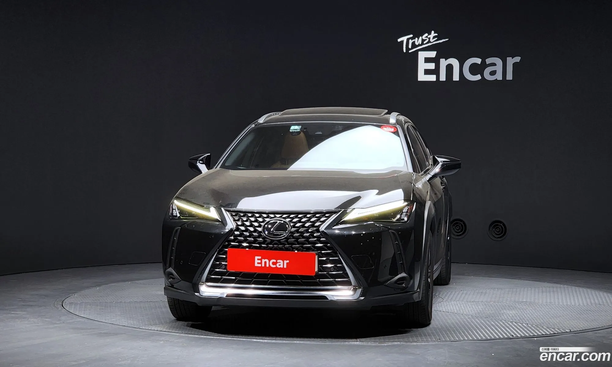 Lexus UX250h 2023 — 5