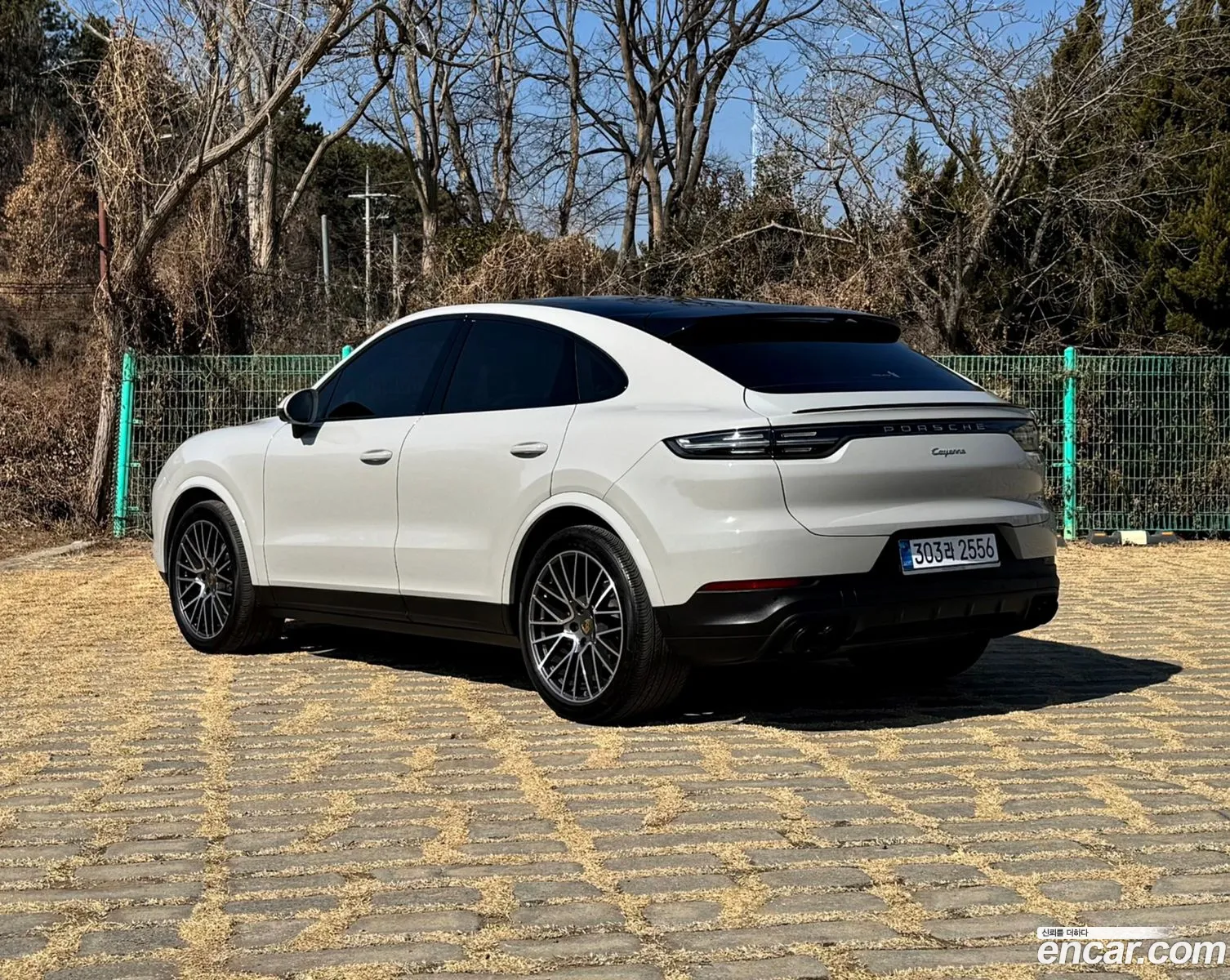 Porsche Cayenne 2022 — 18