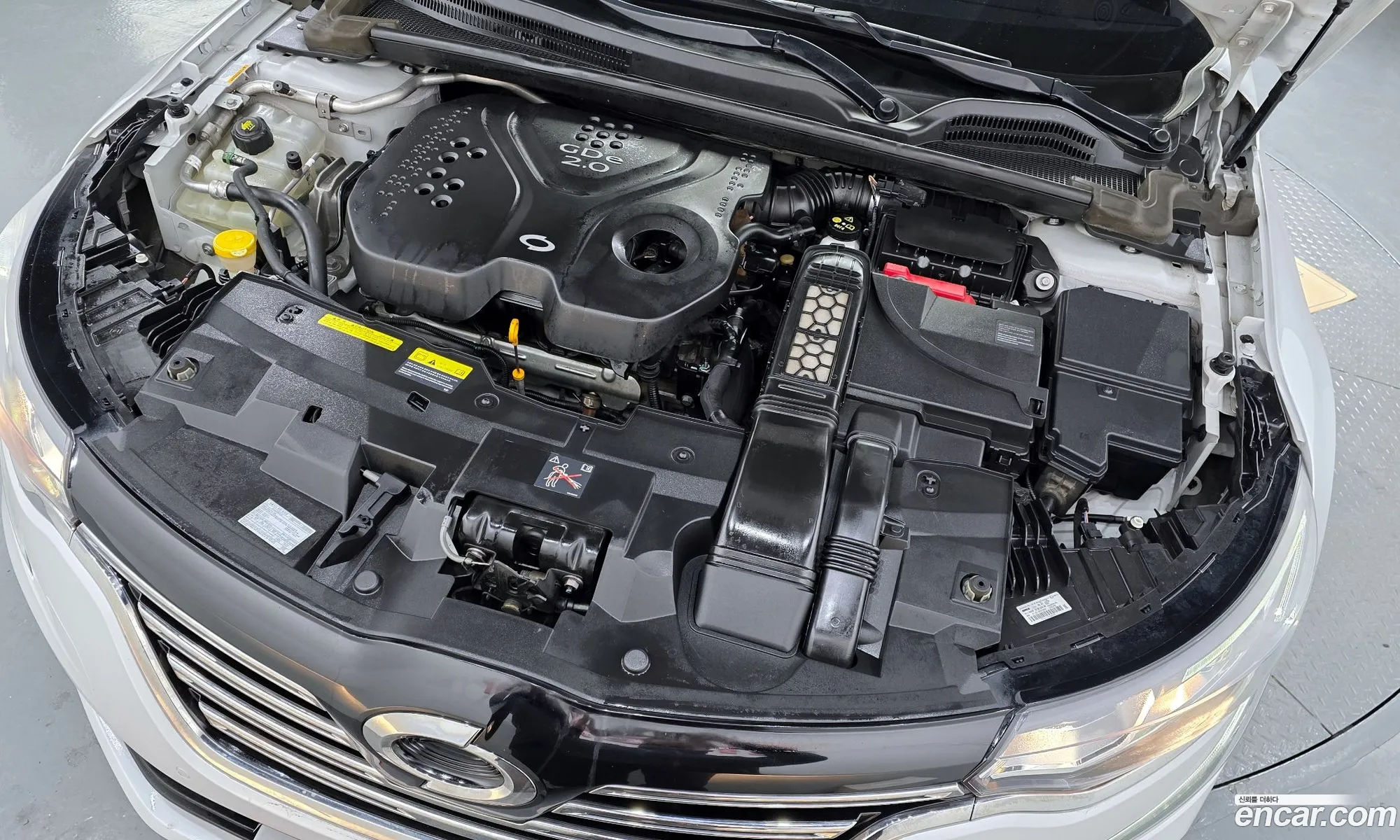 Renault Korea (Samsung) SM6 2016 — 17