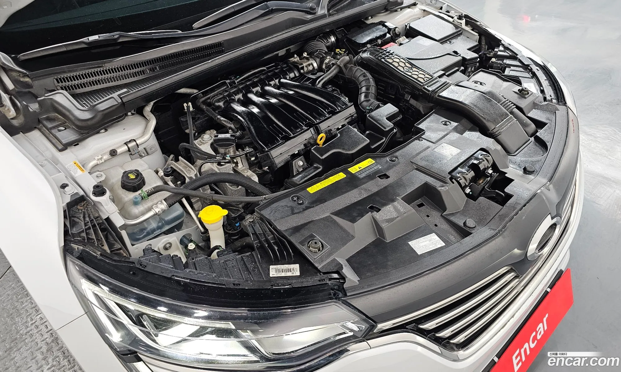 Renault Korea (Samsung) SM6 2019 — 18