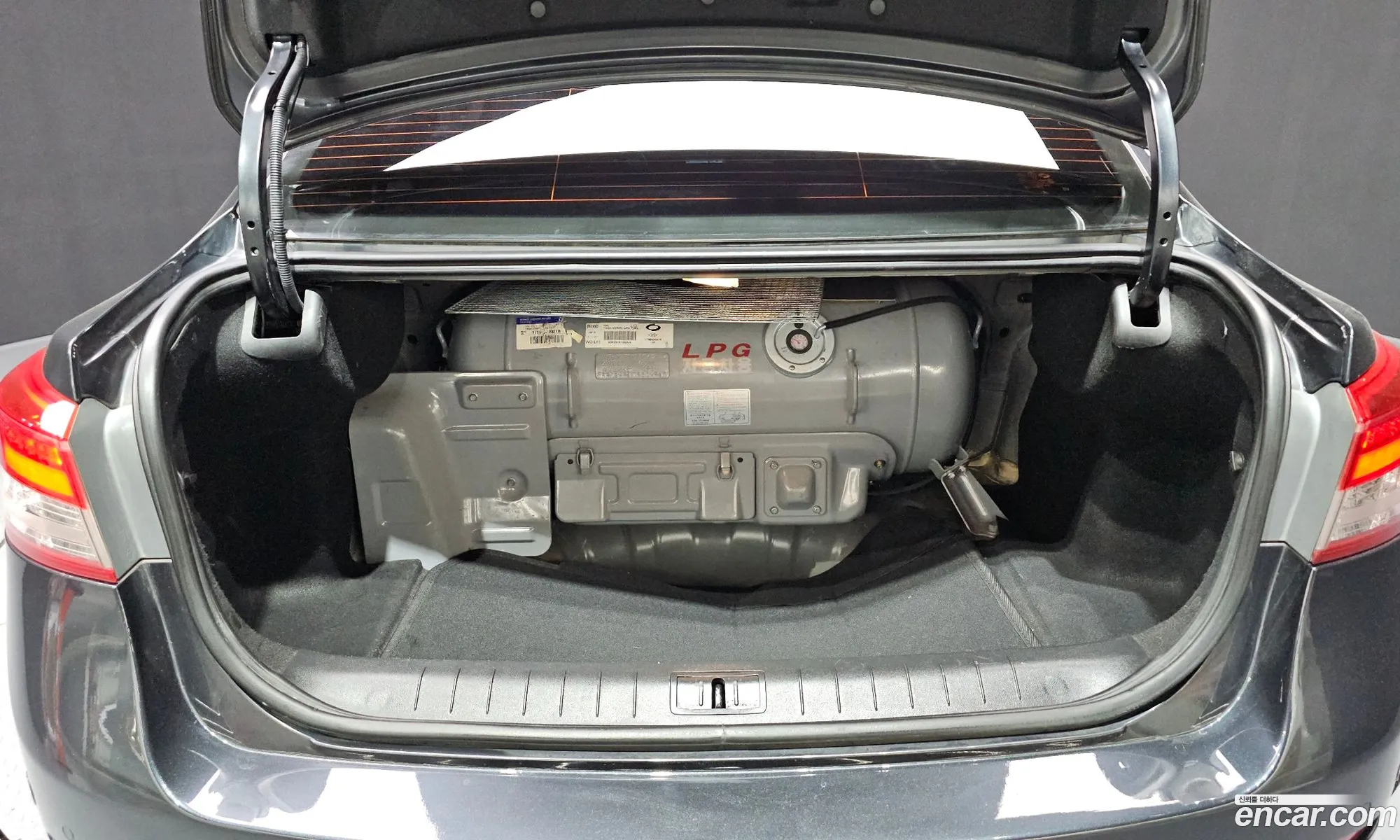 Renault Korea (Samsung) SM5 Platinum 2013 — 20
