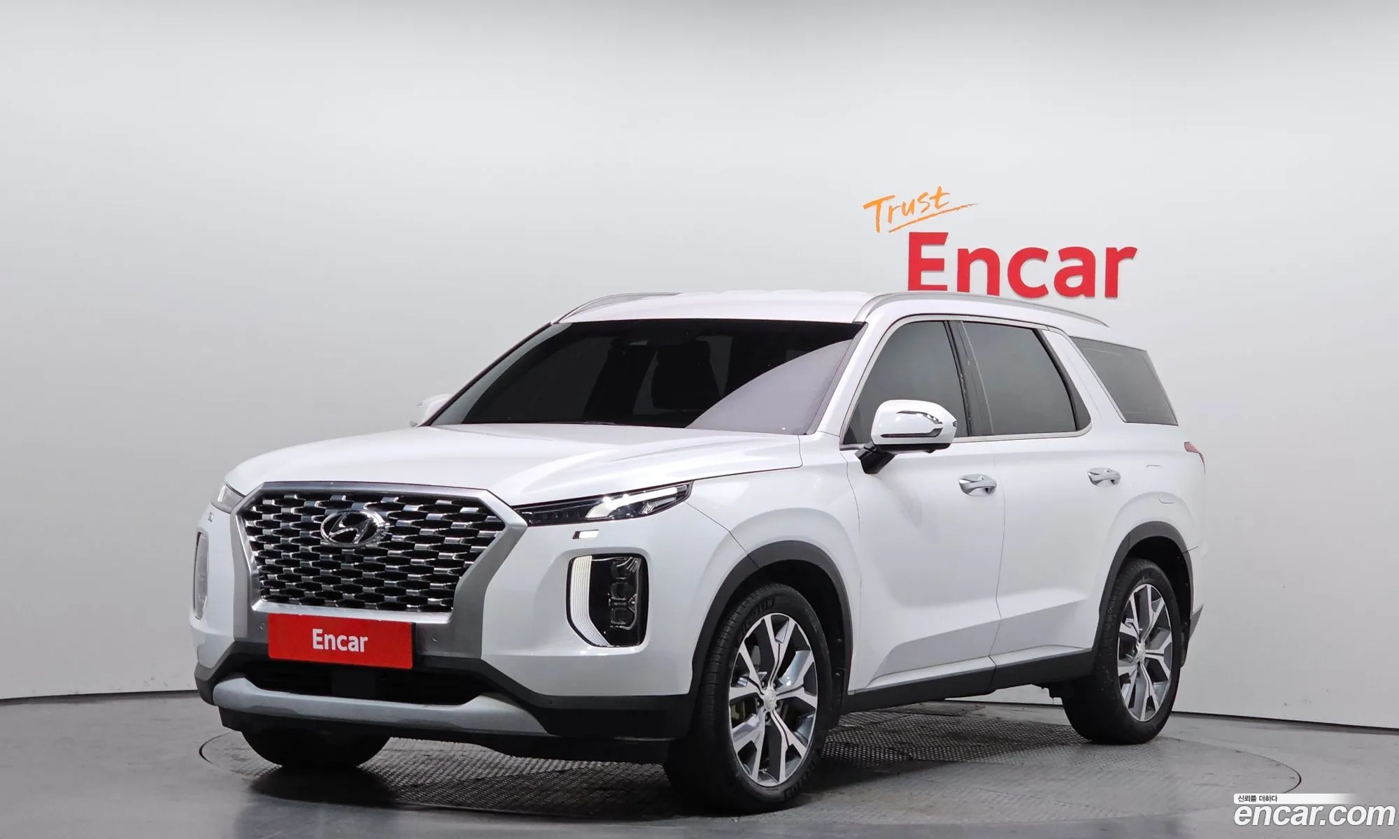 Hyundai Palisade 2020 — 11