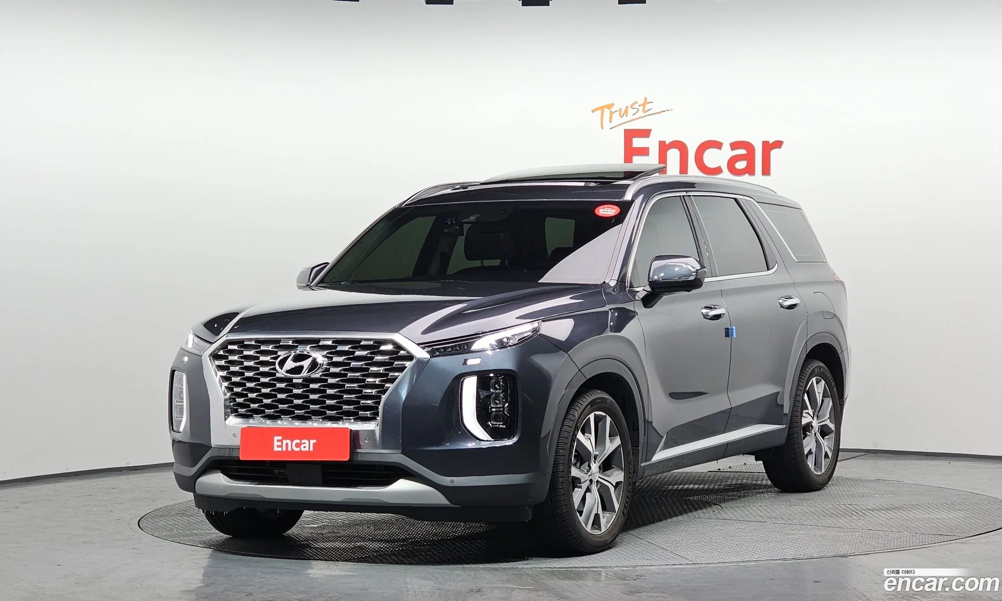 Hyundai Palisade 2021 — 19