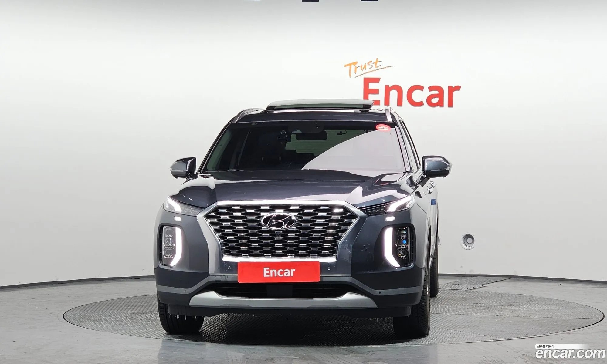 Hyundai Palisade 2021 — 12