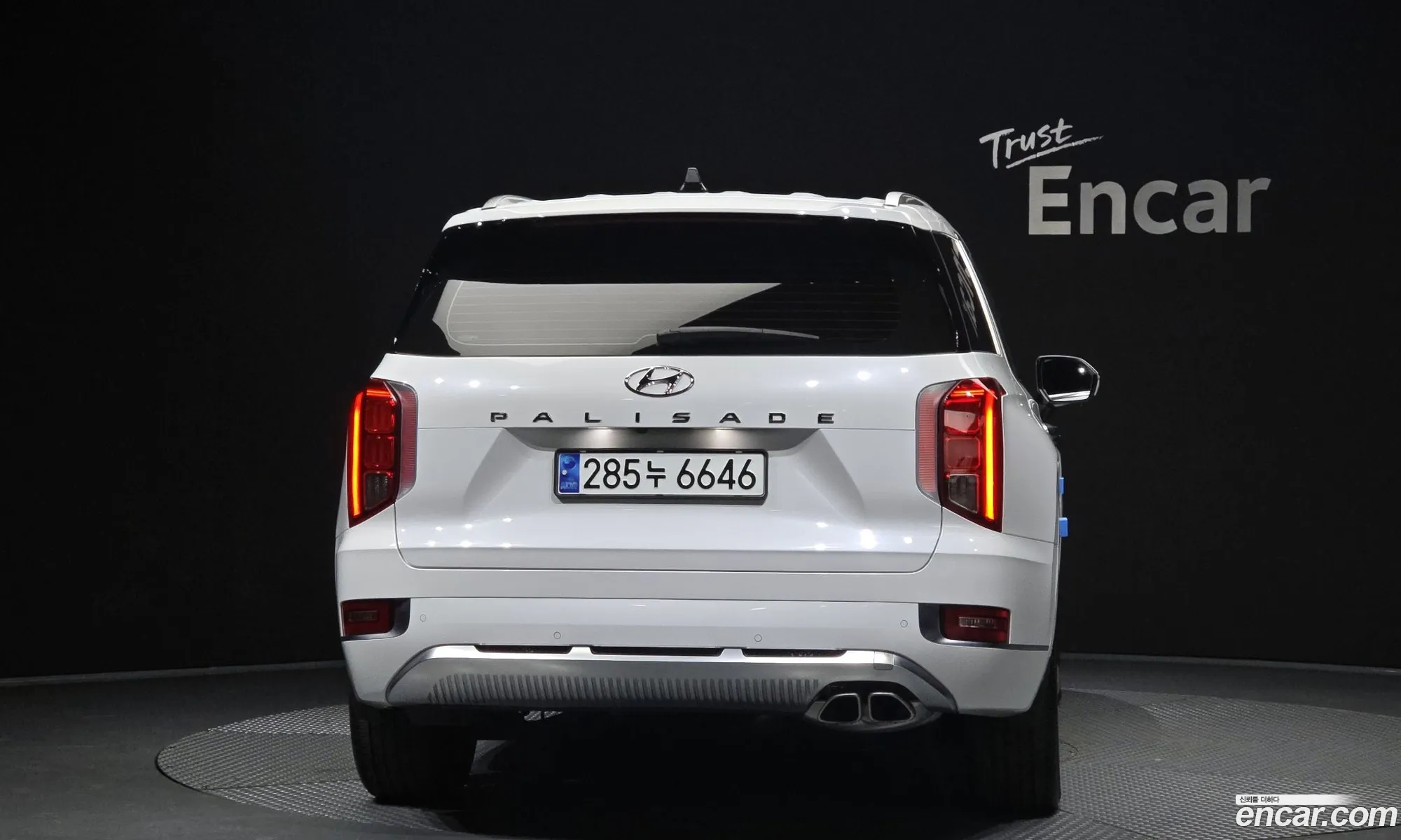 Hyundai Palisade 2021 — 16