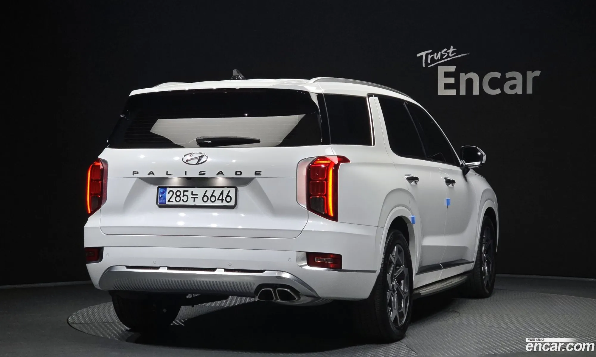 Hyundai Palisade 2021 — 20