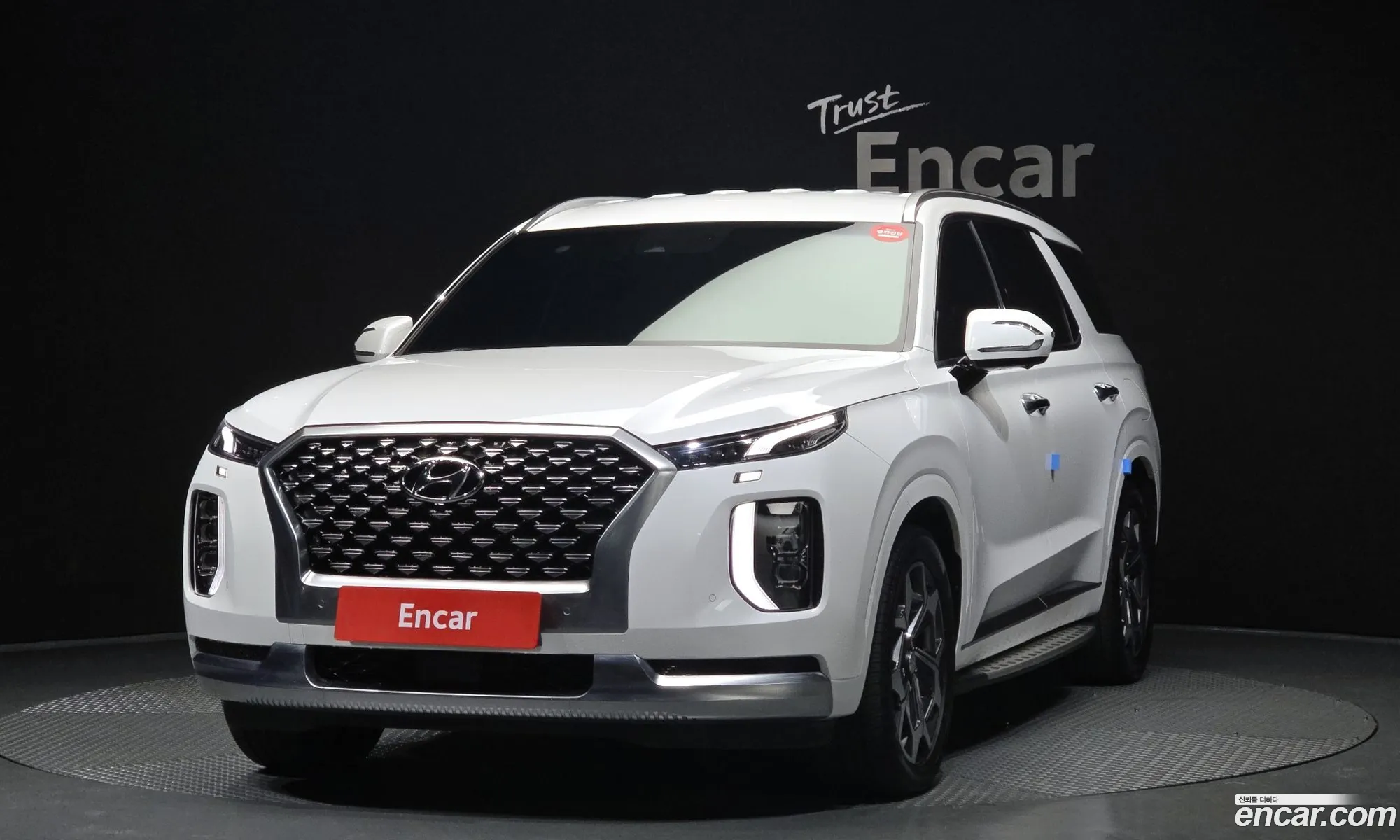 Hyundai Palisade 2021 — 19