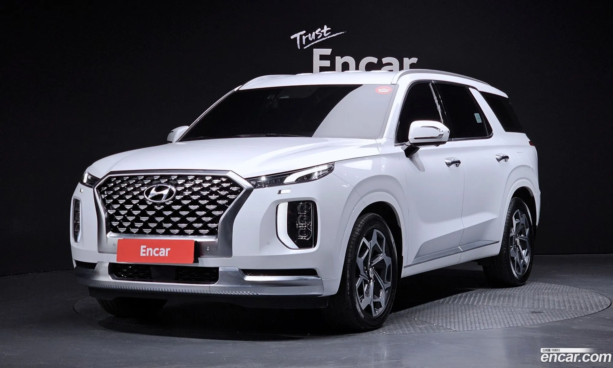 Hyundai Palisade 2021 — 20