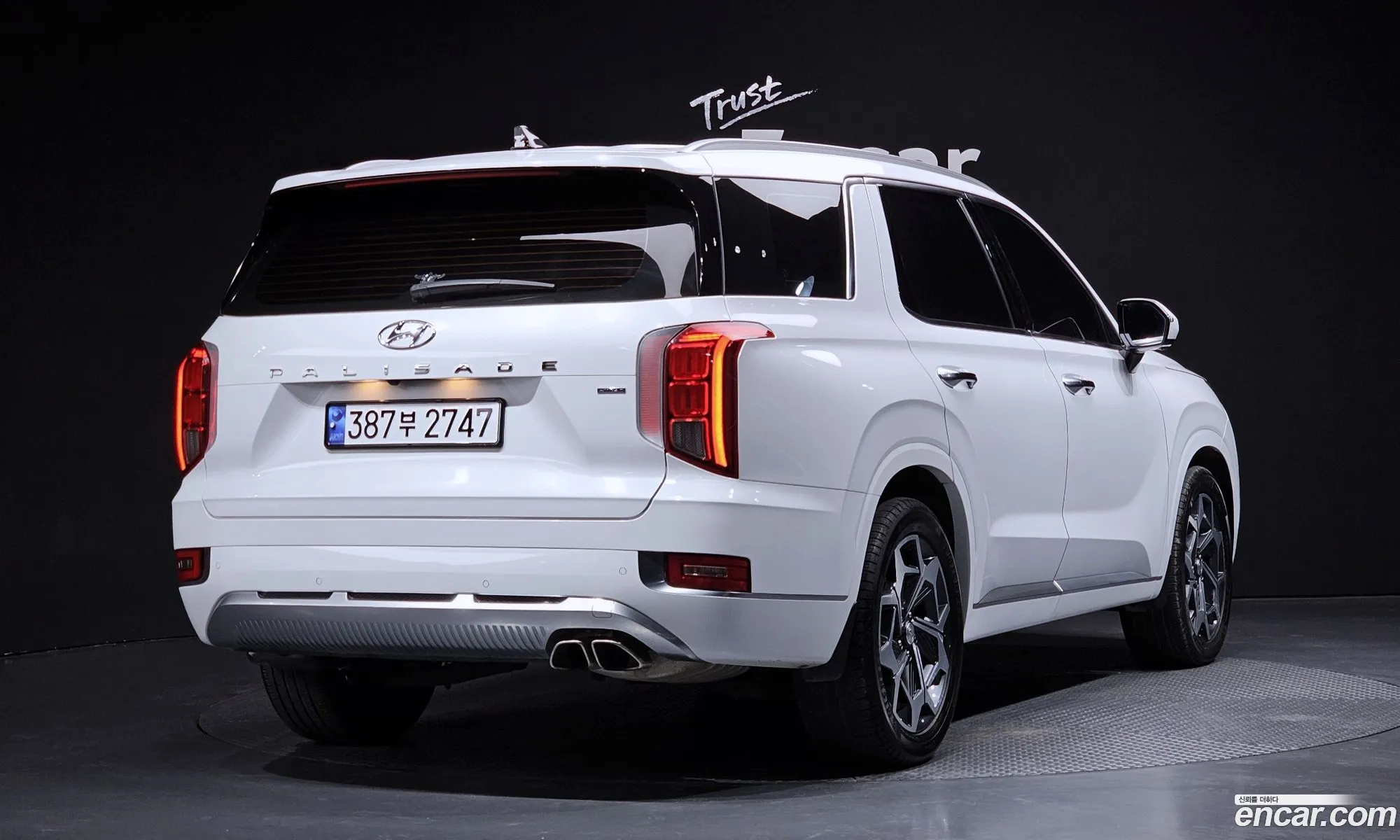 Hyundai Palisade 2021 — 8