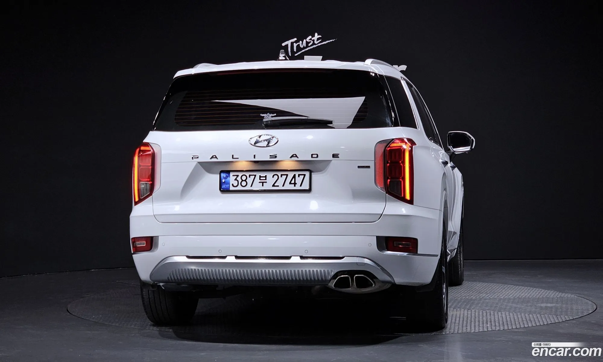 Hyundai Palisade 2021 — 14