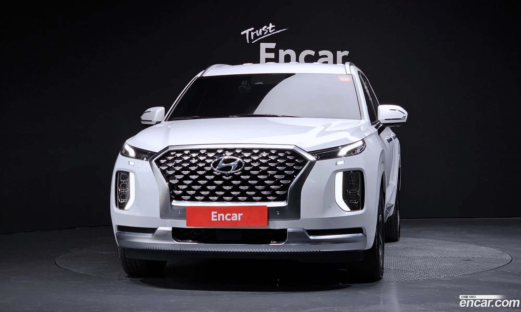 Hyundai Palisade 2021 — 17