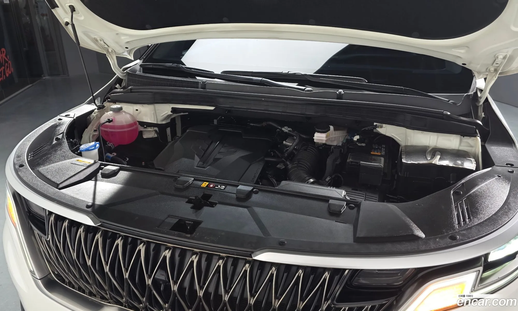 Kia Carnival 2023 — 19