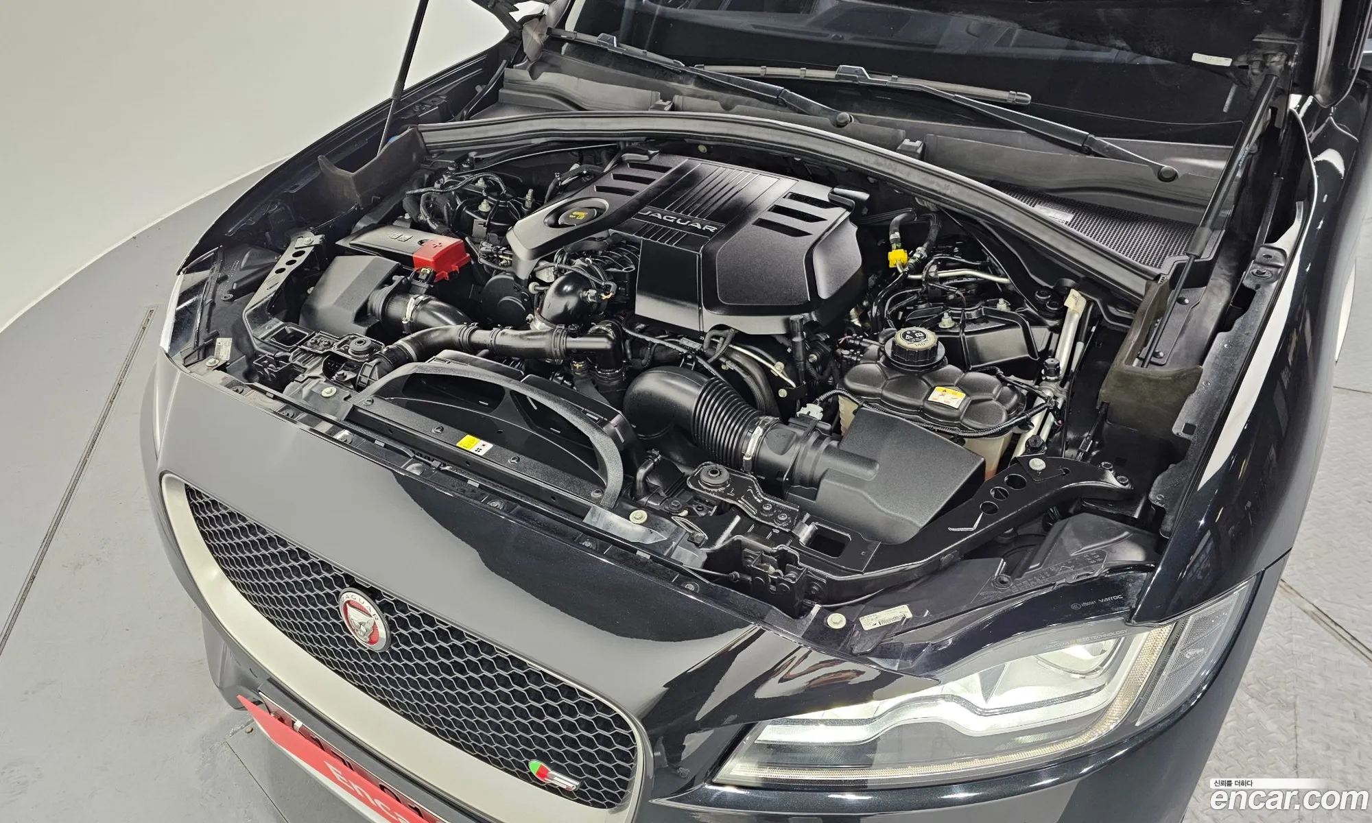 Jaguar F-Pace 2016 SADCA2BK2HA051238 — 11