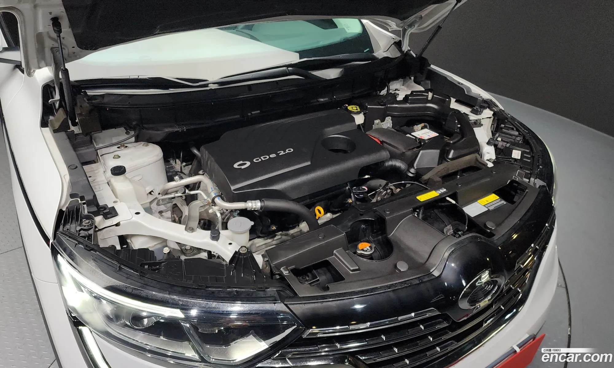 Renault Korea (Samsung) QM6 2018 — 12