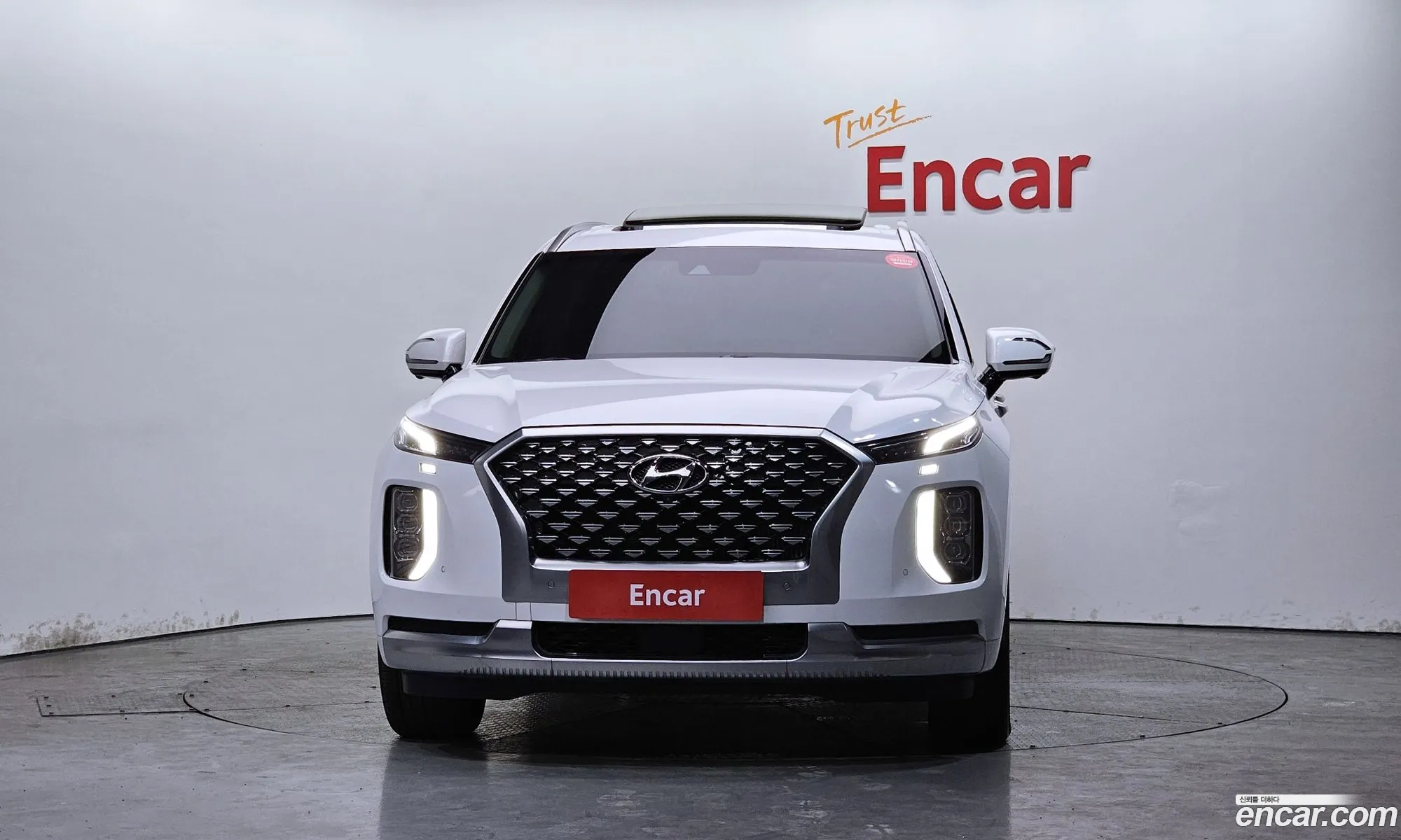 Hyundai Palisade 2021 — 11