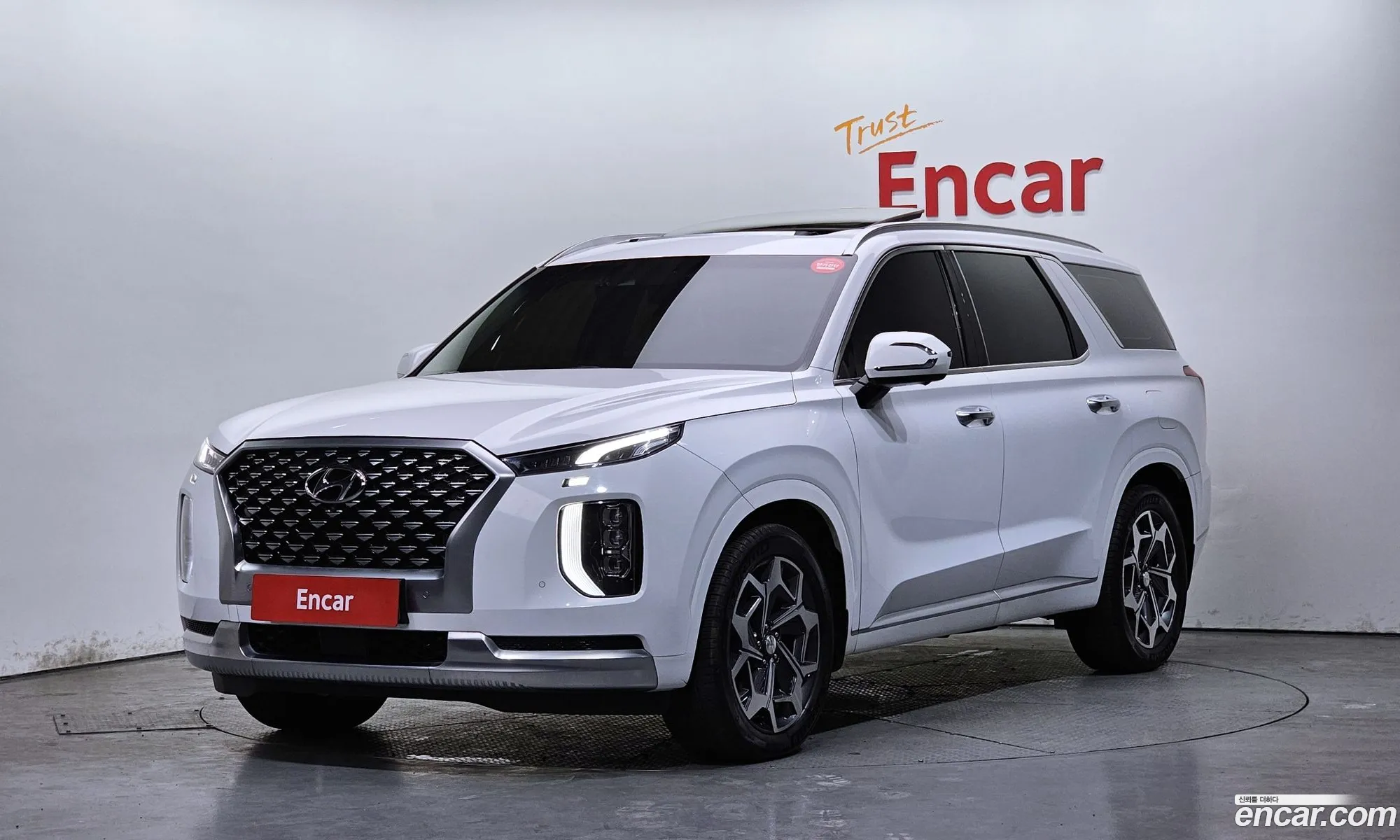 Hyundai Palisade 2021 — 18