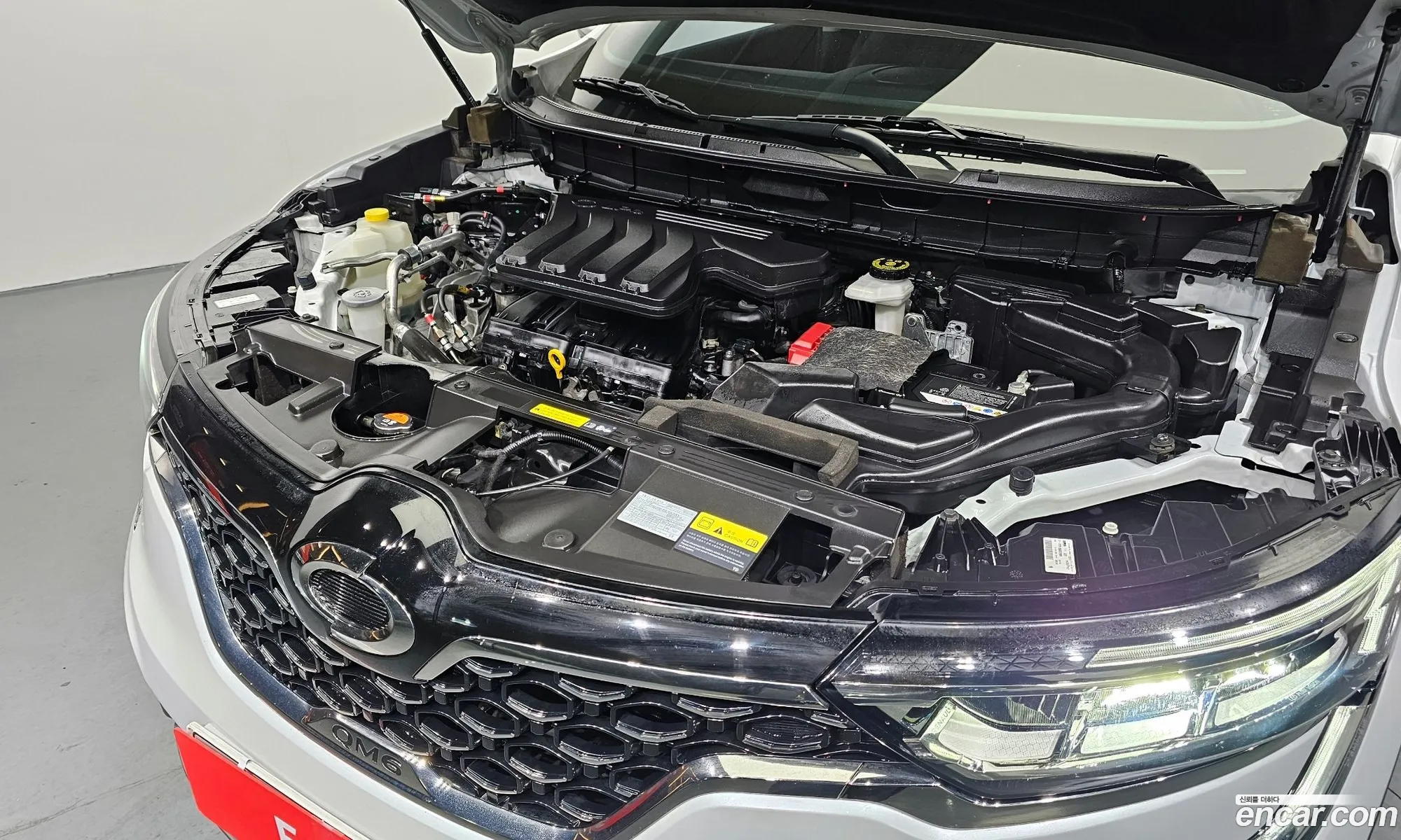 Renault Korea (Samsung) QM6 2021 — 17