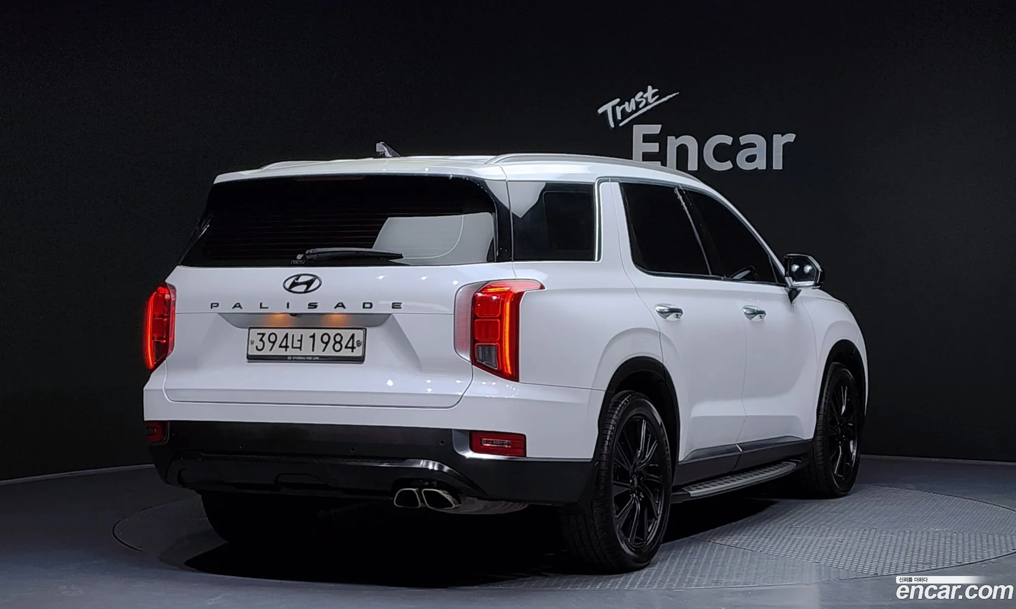 Hyundai Palisade 2020 — 19