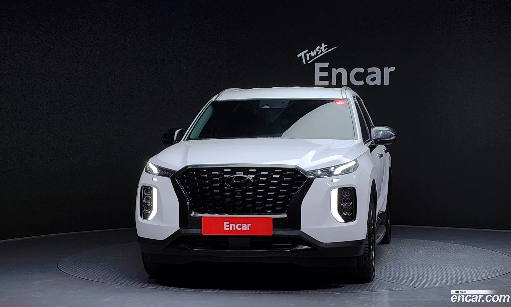 Hyundai Palisade 2020 — 17