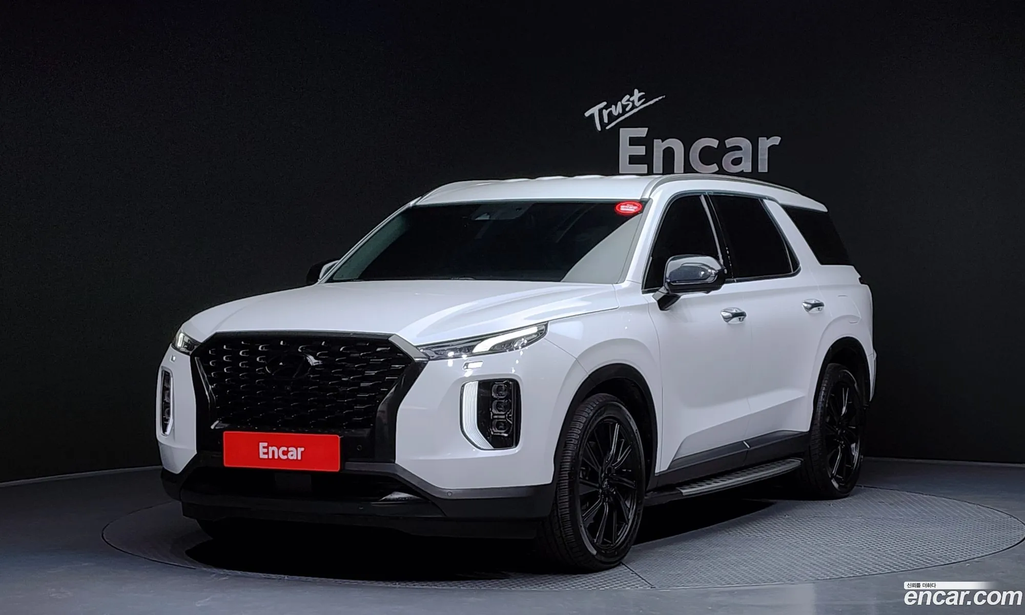 Hyundai Palisade 2020 — 14