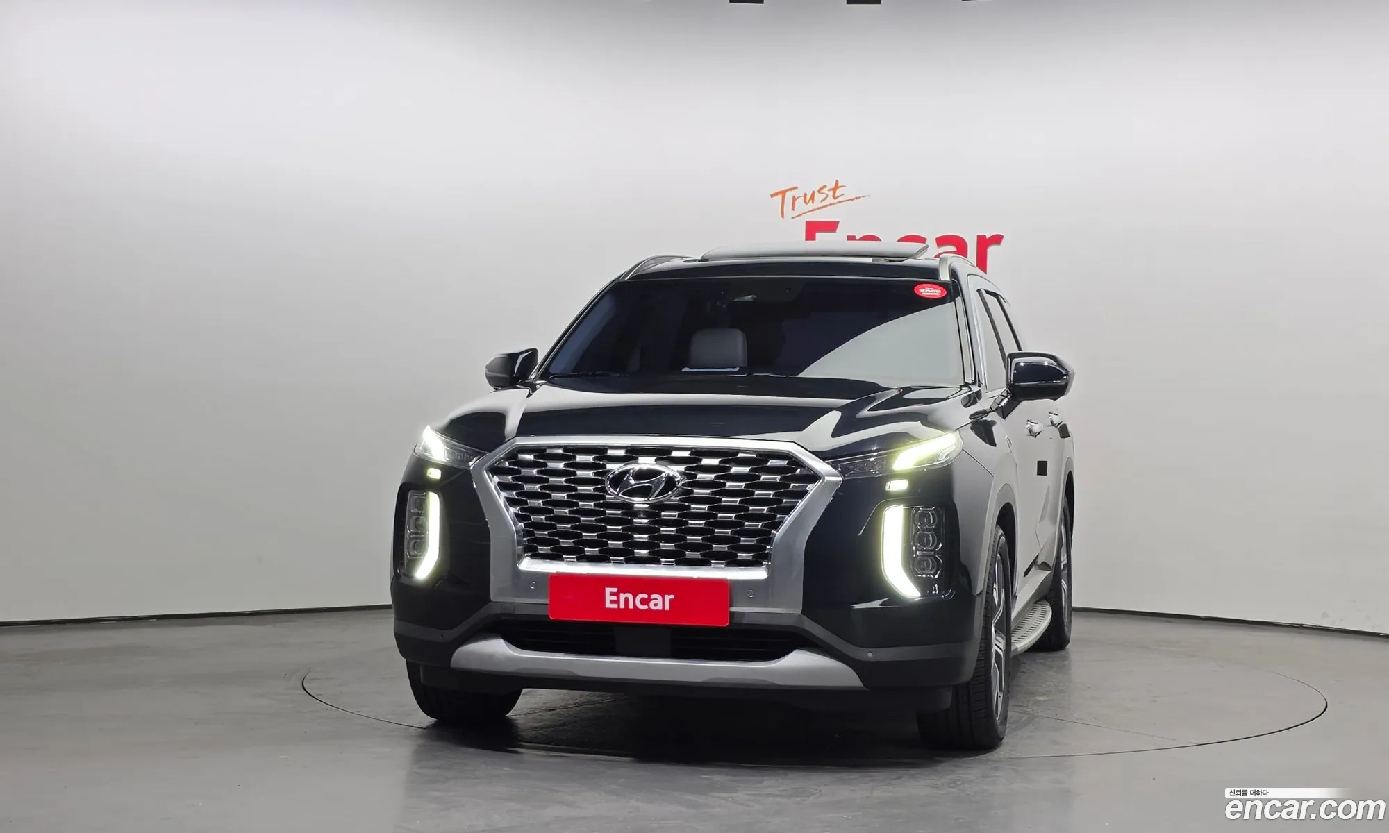 Hyundai Palisade 2021 — 17