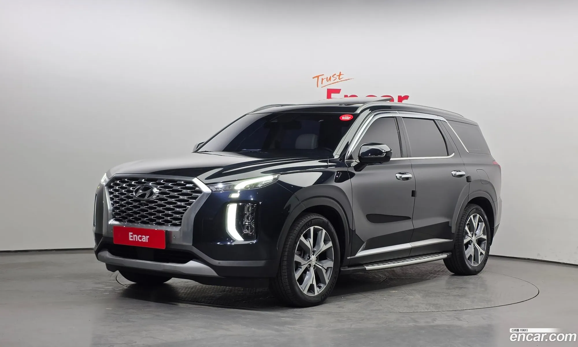 Hyundai Palisade 2021 — 12