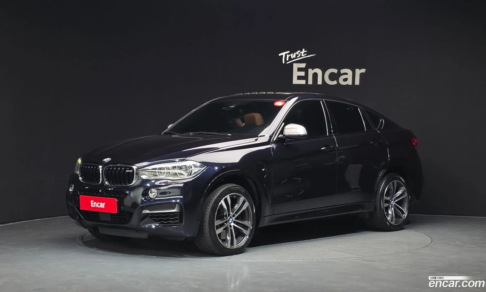 BMW X6 2015 WBAKV6100F0N48808 — 19