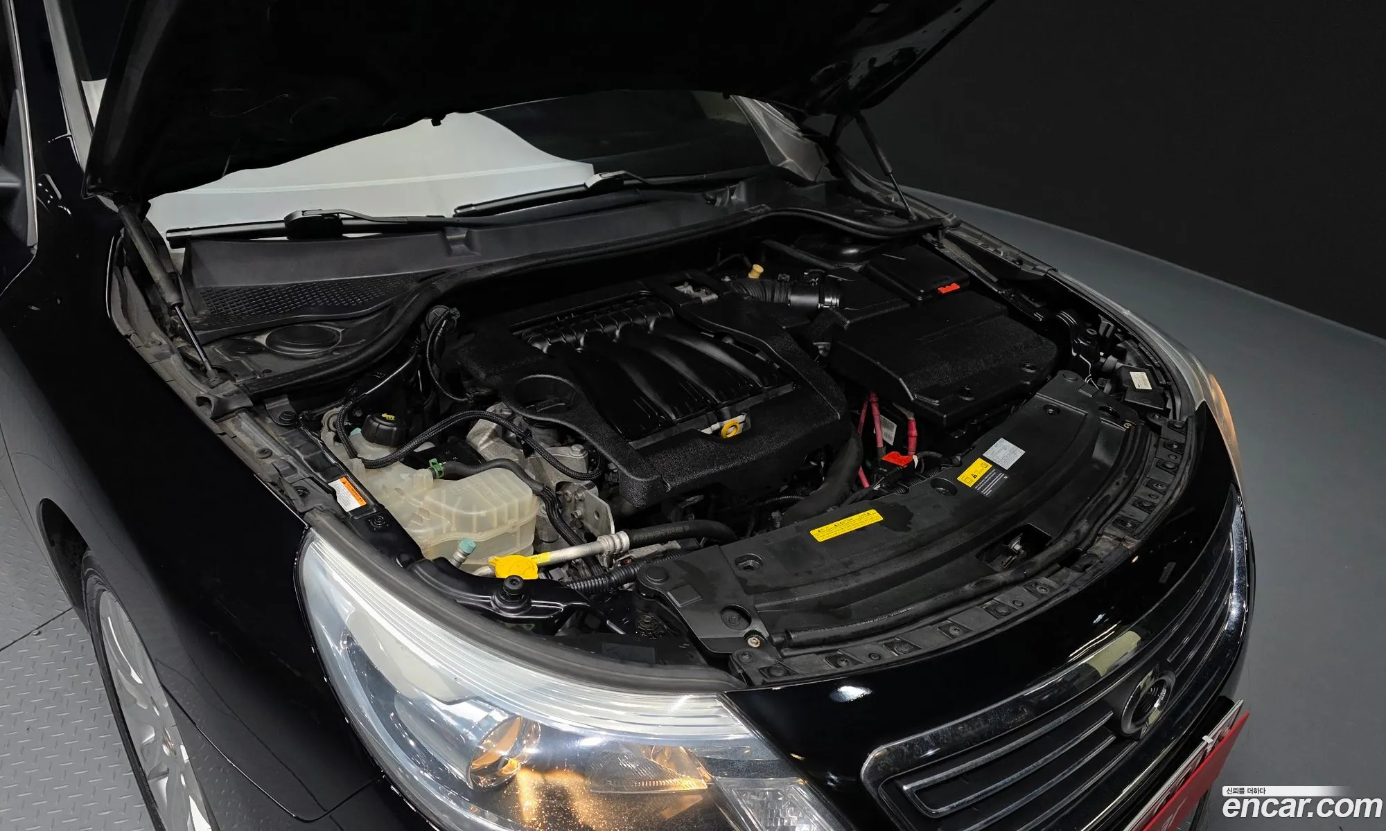 Renault Korea (Samsung) SM5 Platinum 2013 — 3
