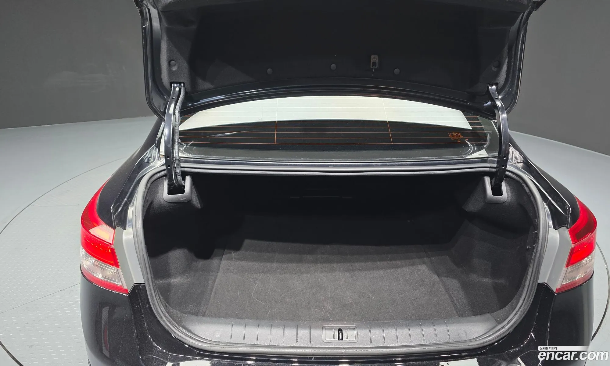 Renault Korea (Samsung) SM5 Platinum 2013 — 17