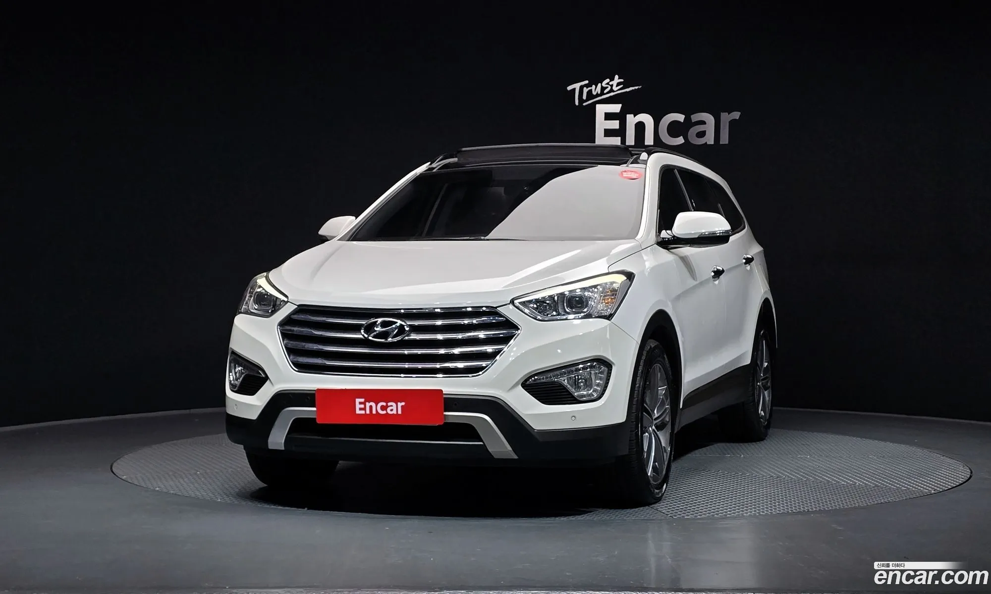 Hyundai Maxcruz 2014 — 17