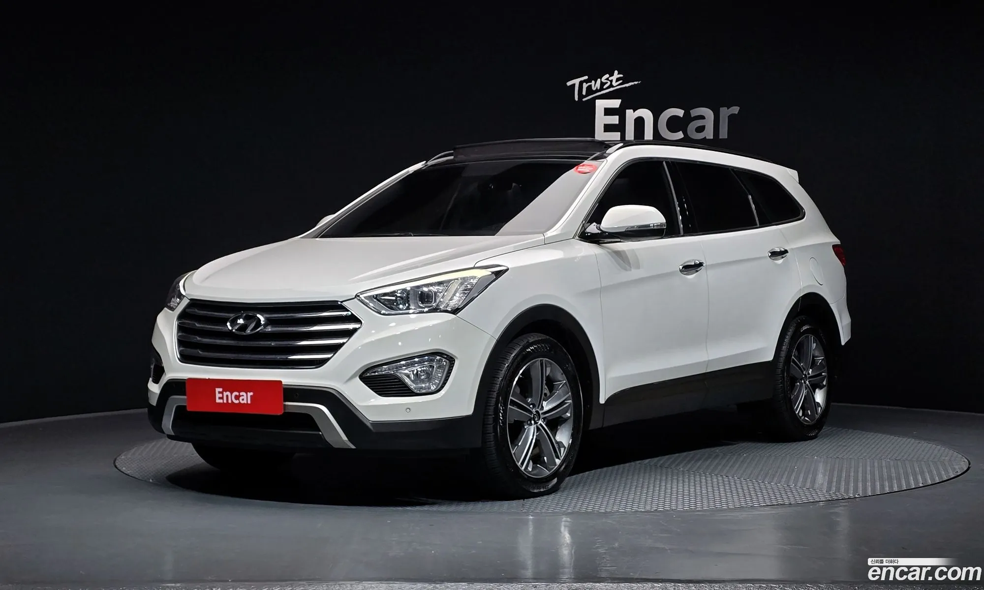 Hyundai Maxcruz 2014 — 13