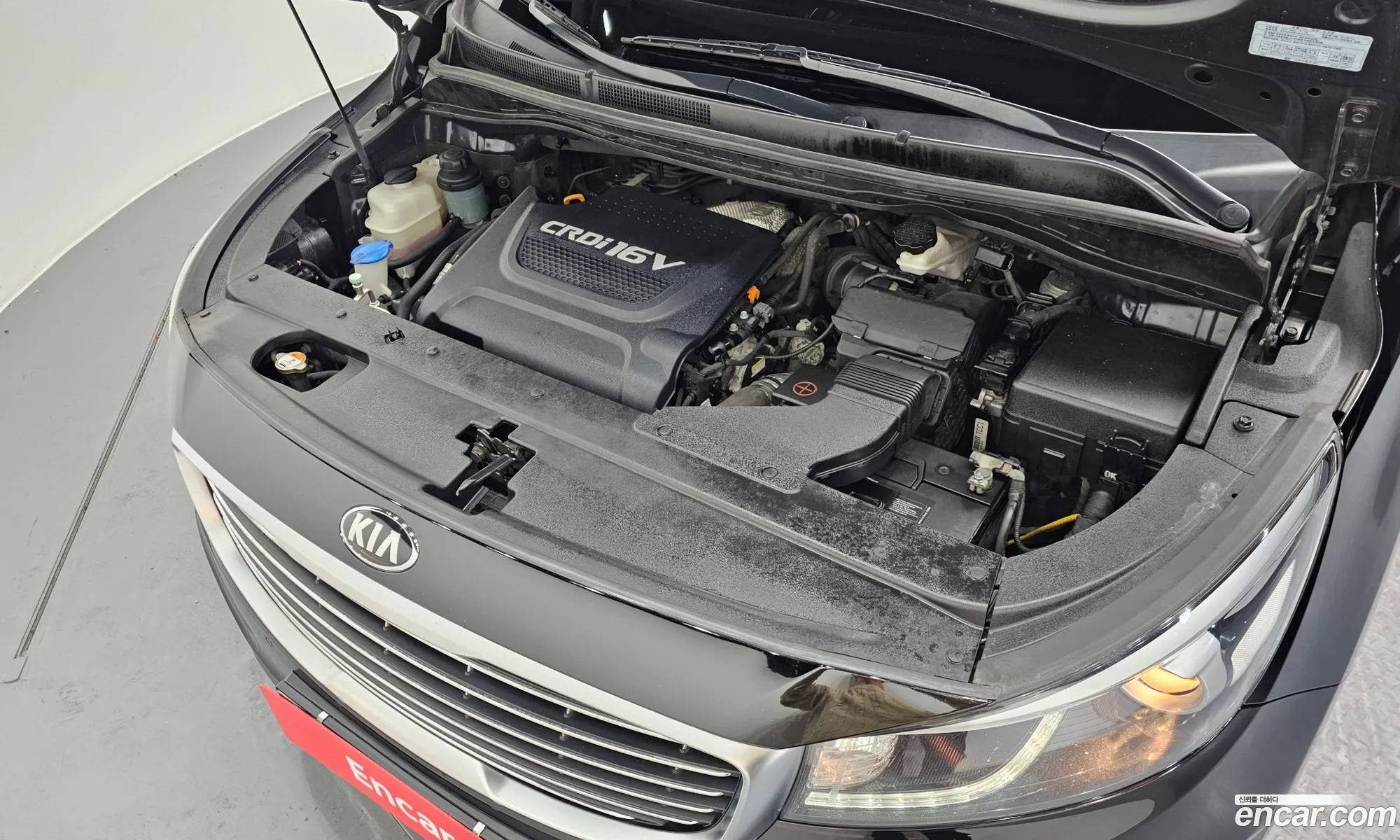 Kia Carnival 2016 — 19