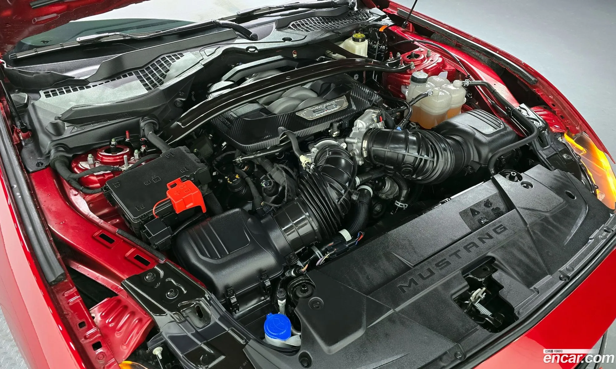 Ford Mustang 7th Gen 2024 — 19