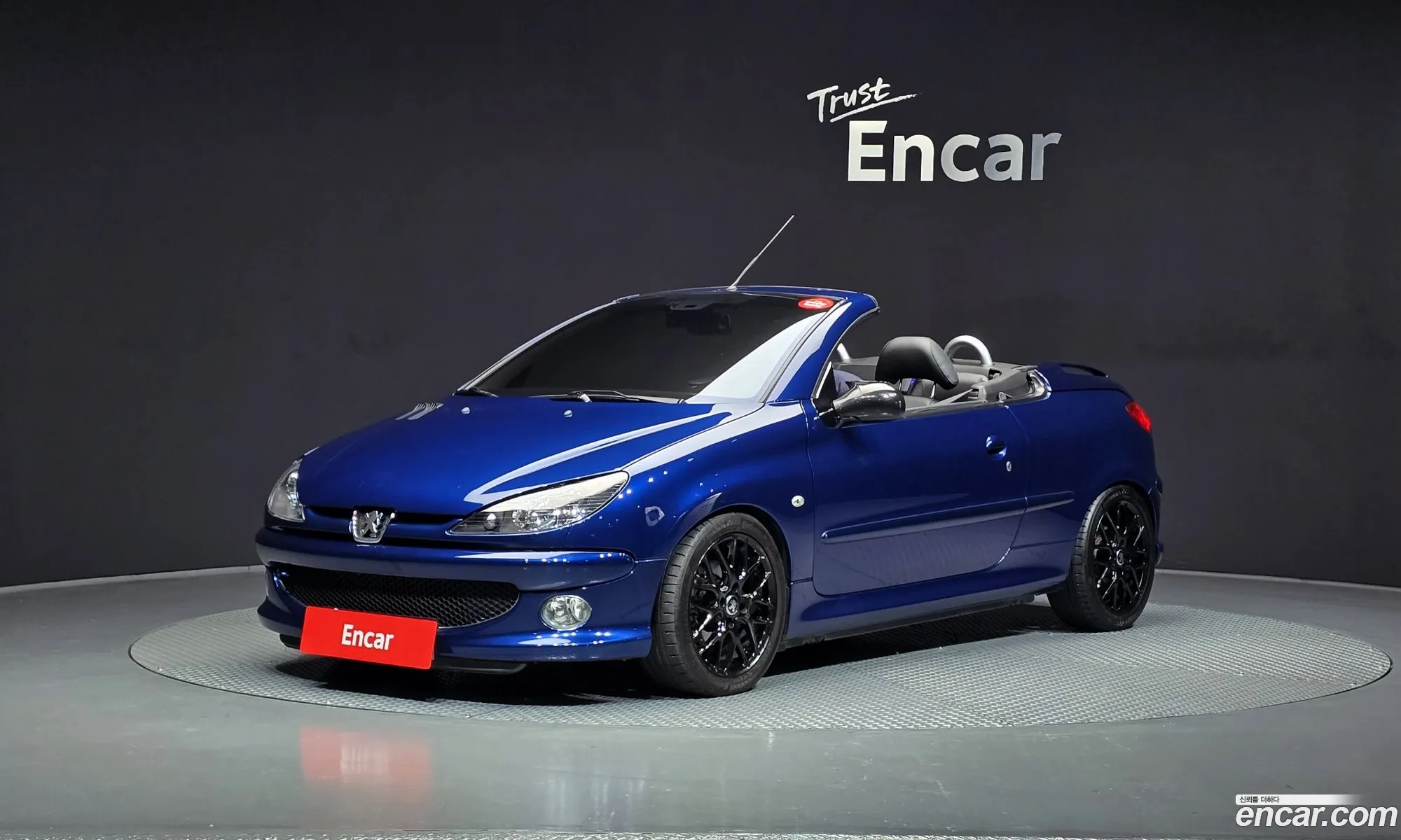 Peugeot 206 CC 2007 VF32DNFUB7Y000497 — 8