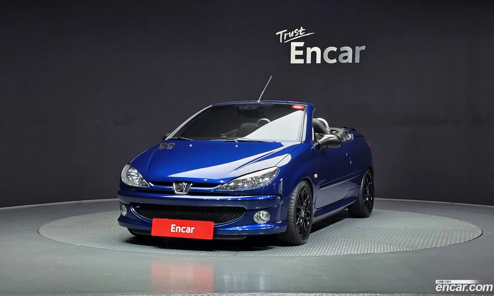 Peugeot 206 CC 2007 VF32DNFUB7Y000497 — 6