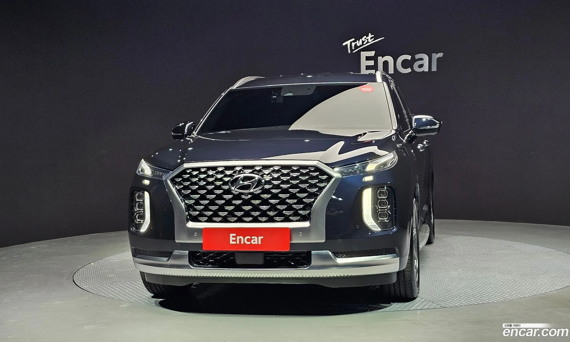 Hyundai Palisade 2021 — 19
